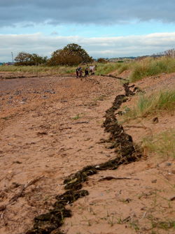Dawlish Warren 2021 10 08 2