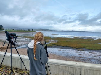 Dawlish Warren 2022 10 28 3