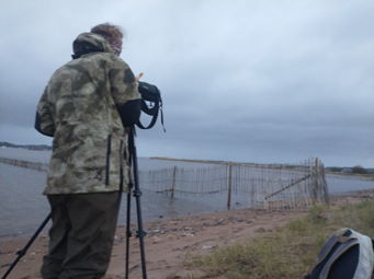 Dawlish Warren 2022 10 28 4