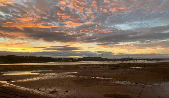 Dawlish Warren Nets 2020 09 07