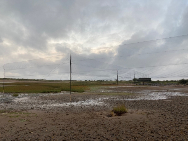 Dawlish Warren Nets 2021 09 25