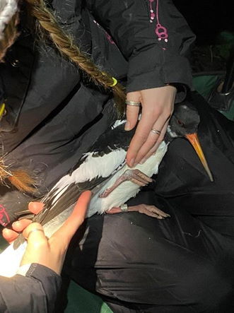 Exminster Marshes 2021 12 05 2