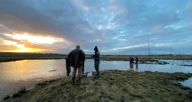 Setting mist-nets at Exminster Marshes as the sun sets © R Phillips