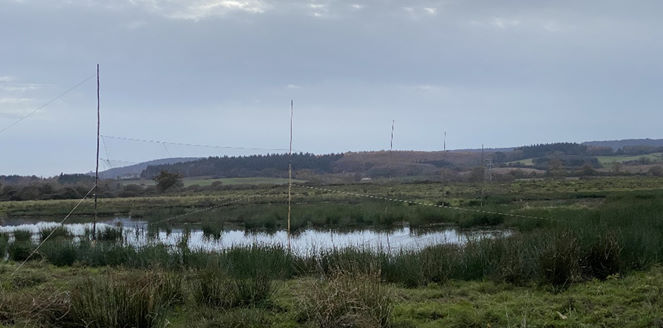 Set mist-nets at  Exminster Marshes as the sun sets © R Phillips