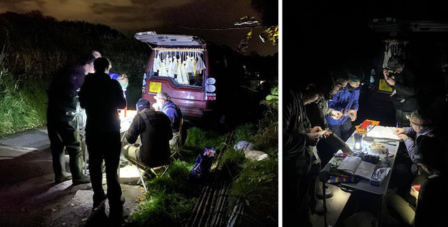 Processing team working through the large Dunlin catch © R Phillips 