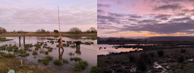 Exminster Marshes 2023 12 15 3 RP