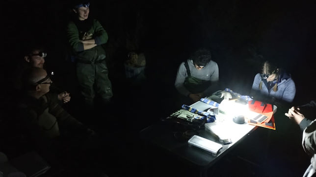 Exminster Marshes 2023 12 15 5 RP