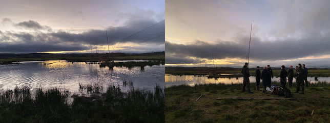 Setting mist-nets on Exminster Marshes © R Phillips
