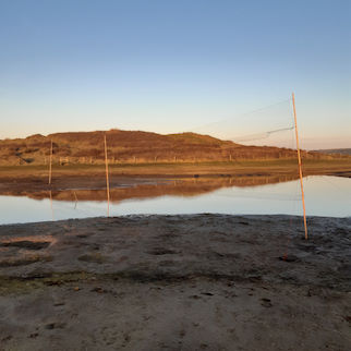 Mist-nets set at Greysands Pool, Northam Burrows © C W Dee
